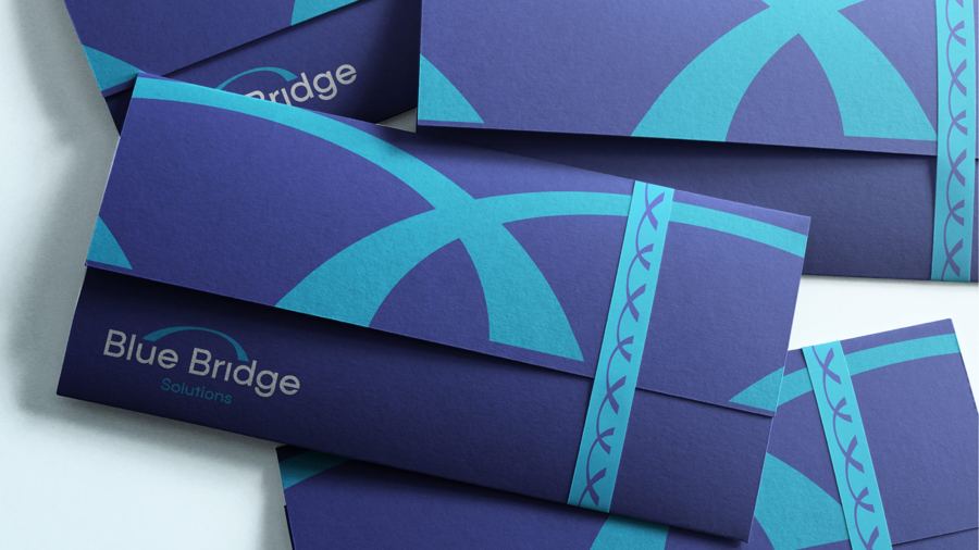 Blue Bridge Solutions